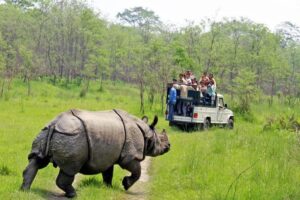 Kathmandu to Chitwan National Park Tour Package